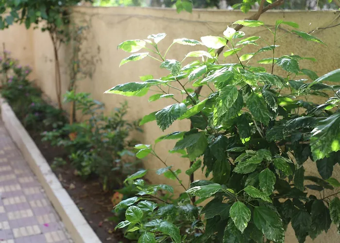 Nasr City Villa